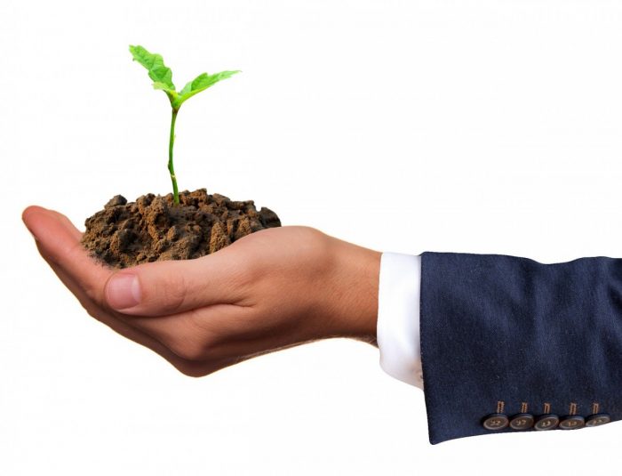 Klimabeitrag durch EVELY