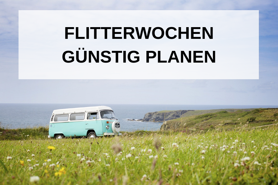 VW Bus auf Weide - günstige Flitterwochen mit Camper
