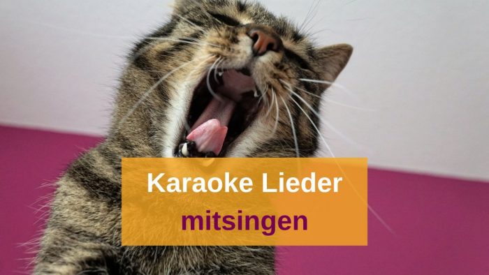 Karaoke Lieder